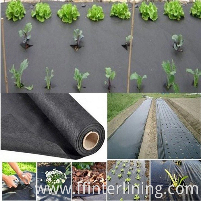 PP Agricultural Nonwoven Fabric/PP Non Woven/Crop Row Cover Spunbond Nonwoven